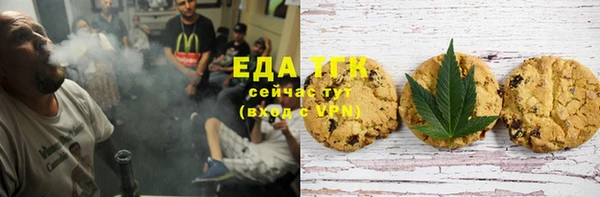 гашик Михайлов