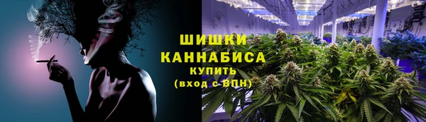 гашик Михайлов