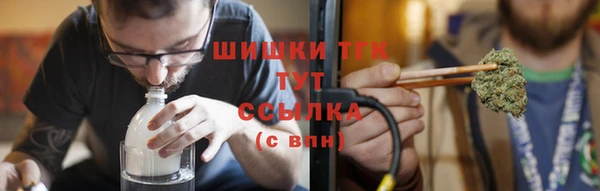 гашик Михайлов