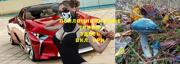 мдпв Навашино