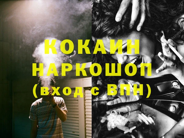 гашик Михайлов